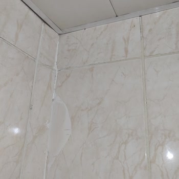 DASK (Doğal Afet Sigortaları Kurumu) Hasar Tespiti Ve Yetersiz Ödeme Konusunda Mağduriyet