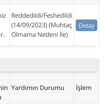 Aile ve Sosyal Hizmetler Bakanlığı Engelli Aylığı Reddedildi