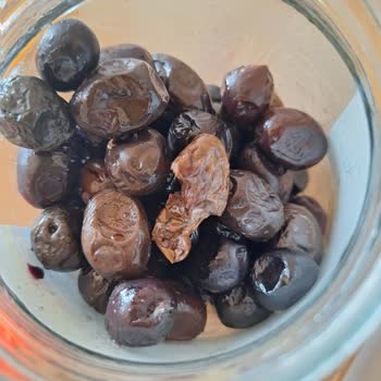 A101 Örümcek Yuvası Olmuş Zeo Zeytin