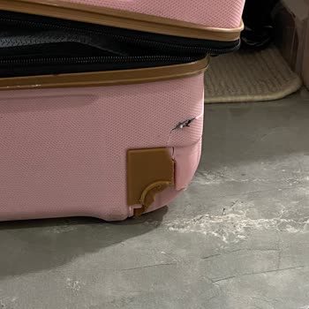 Pegasus Hasarlı Bagaj Hakkında Yardımcı Olmuyor