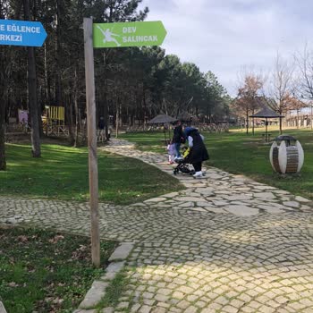 Kemerburgaz Kent Ormanı Bebek Arabası Düşüncesizliği