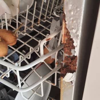 Beko Bulaşık Makinesi Küflenme Ve Parça Parça Küf Döküntü