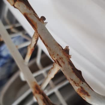 Beko Bulaşık Makinesi Küflenme Ve Parça Parça Küf Döküntü