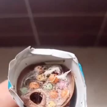 Ozmo Çikolata Da Kurt Var