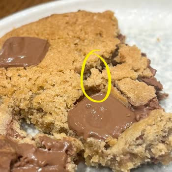 Viyana Kahvesin Mekanından Kurabiye Çikolatasından Çıkan Kıl