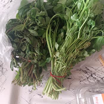 Şok Market Bozuk Ürün Gönderdi, Eve Gelen Siparişler Çöp, Çözüm Yok