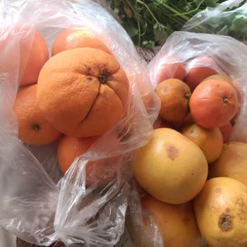 Şok Market Bozuk Ürün Gönderdi, Eve Gelen Siparişler Çöp, Çözüm Yok