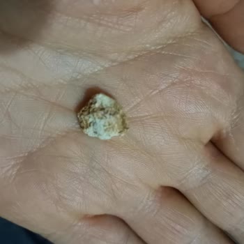 Migros Leblebinin İçinde Taş