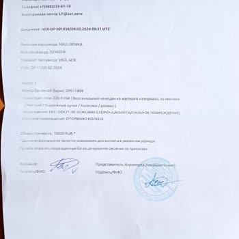 Победа Разбили Чемодан, Пока Закидывали В Самолет!