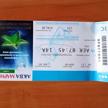 Победа Разбили Чемодан, Пока Закидывали В Самолет!