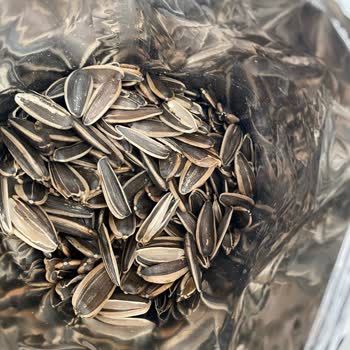 Çerezya Dakota Çekirdek Kabuğu