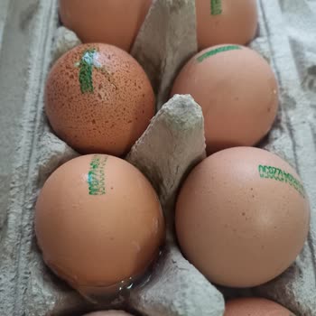 Migros İademi Yapmıyor Kırık Yumurtaların