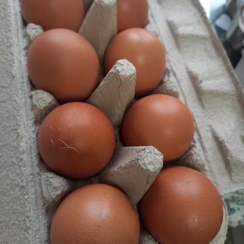 Migros İademi Yapmıyor Kırık Yumurtaların