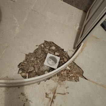 Türkiye Sigorta Ya Sigorta Yaptırmayın