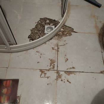 Türkiye Sigorta Ya Sigorta Yaptırmayın