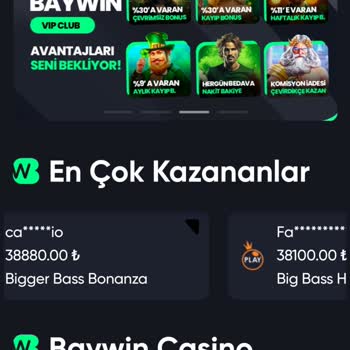 Baywin Paramı Öde Sorumlusu Sizsiniz