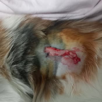 EyüpSultan Belediyesi Yanlış Yapıldı Bence