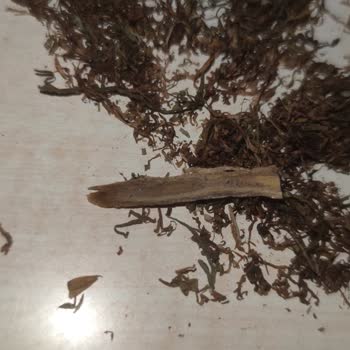 Tekel Camel Yellow 100 Gr Tütün