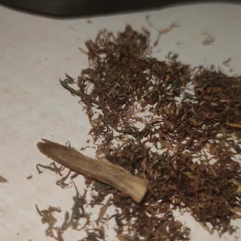 Tekel Camel Yellow 100 Gr Tütün