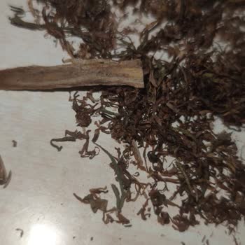 Tekel Camel Yellow 100 Gr Tütün