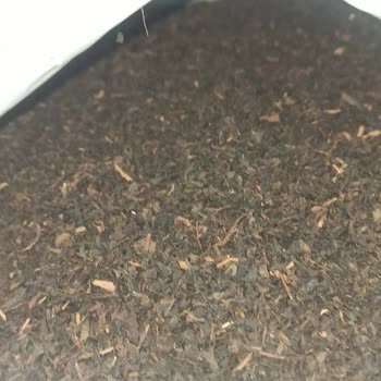 BİM Binden Aldığım Çay Kurtlu Çıktı