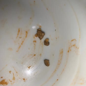 Duru Bulgur Duru Pratik Haşlanmış Barbunyanın İçinden Kocaman Bir Taş Çıktı