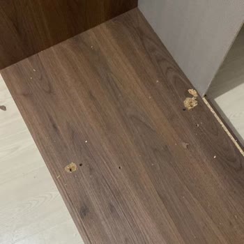 Psikolojimiz Bozuldu Enza Home Yüzünden!