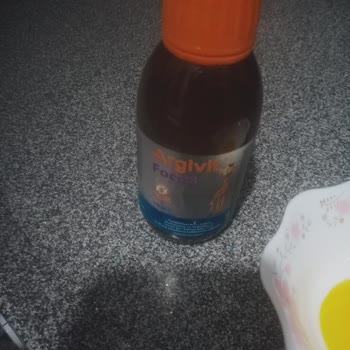 Argivit Focus Şikayet Var