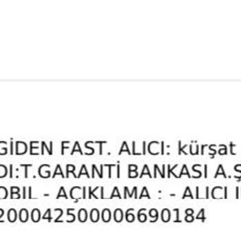 Gün Haber Zeytinburnu Veteriner Kliniği Kedimizi Öldürdü Çalışan Üzerime Yürüdü