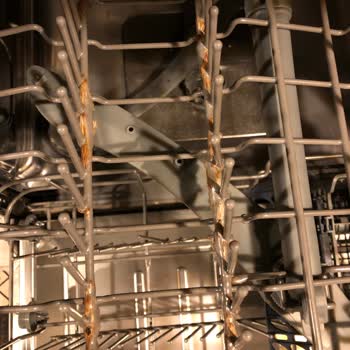 Samsung Bulaşık Makinesi Telleri Küflendi