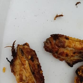 Halil İbrahim Sofrası Gıdasal Yönden Sıfır