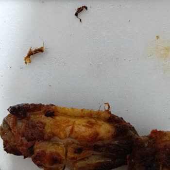 Halil İbrahim Sofrası Gıdasal Yönden Sıfır