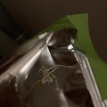 Harras İçinden Kıl Çıktı