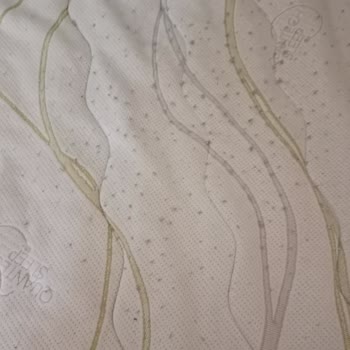 İstikbal Yatak Pedi Deforme Oldu