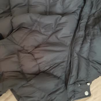 Tommy Hilfiger Montun Rengi Attı