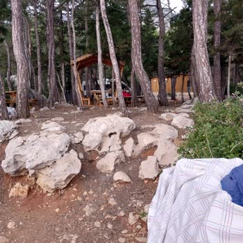 Kültür ve Turizm Bakanlığı Küçük Çaltıcak Şikayet Var
