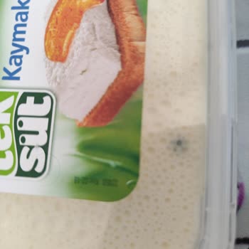 Tek Süt Kaymak