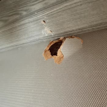 Mobilya Da Çığır Açan Marka Modalife