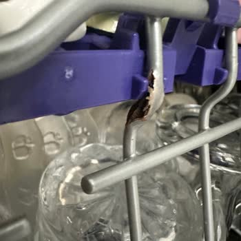 LG Bulaşık Makinesi Paslanma Sorunu