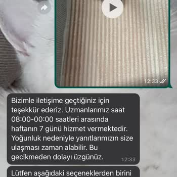 Dyson WhatsApp Müşteri Hizmetleri