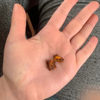 Patosun İçinden Çıkan Garip Şey