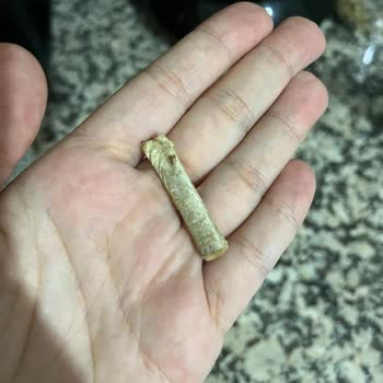Peyman Paketin İçinden Sigara İzmariti Çıktı!