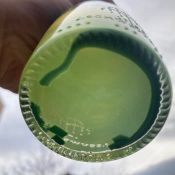 Schweppes Şişe İçinde İlginç Parçacıklar