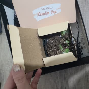 Muhiku Hediye Dağılmış Halde Geldi