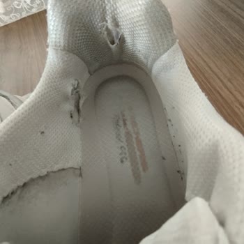 Skechers Spor Ayakkabı Kalitesi Ve Garantisi