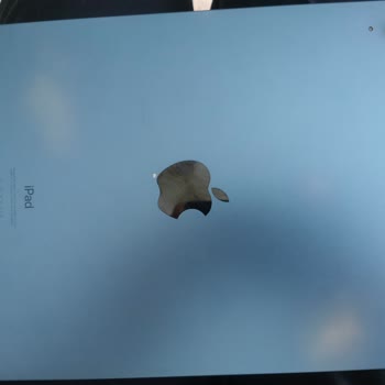 Apple Da Renk Atması