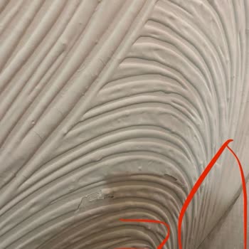 Venga Concept Alçı Tablo Pişmanlığı