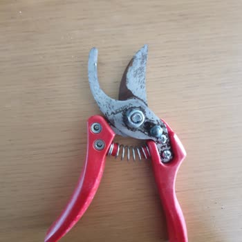 Lazbisa Bıçak Lazbisa Nın Paslanan Makası