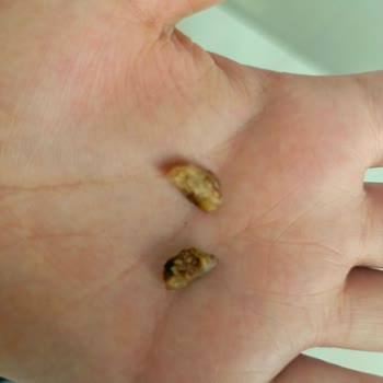 Eti Karam Gurme Sert Cisim