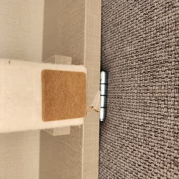 Yataş Divanev Koltuk Takımı Pişmanlığı